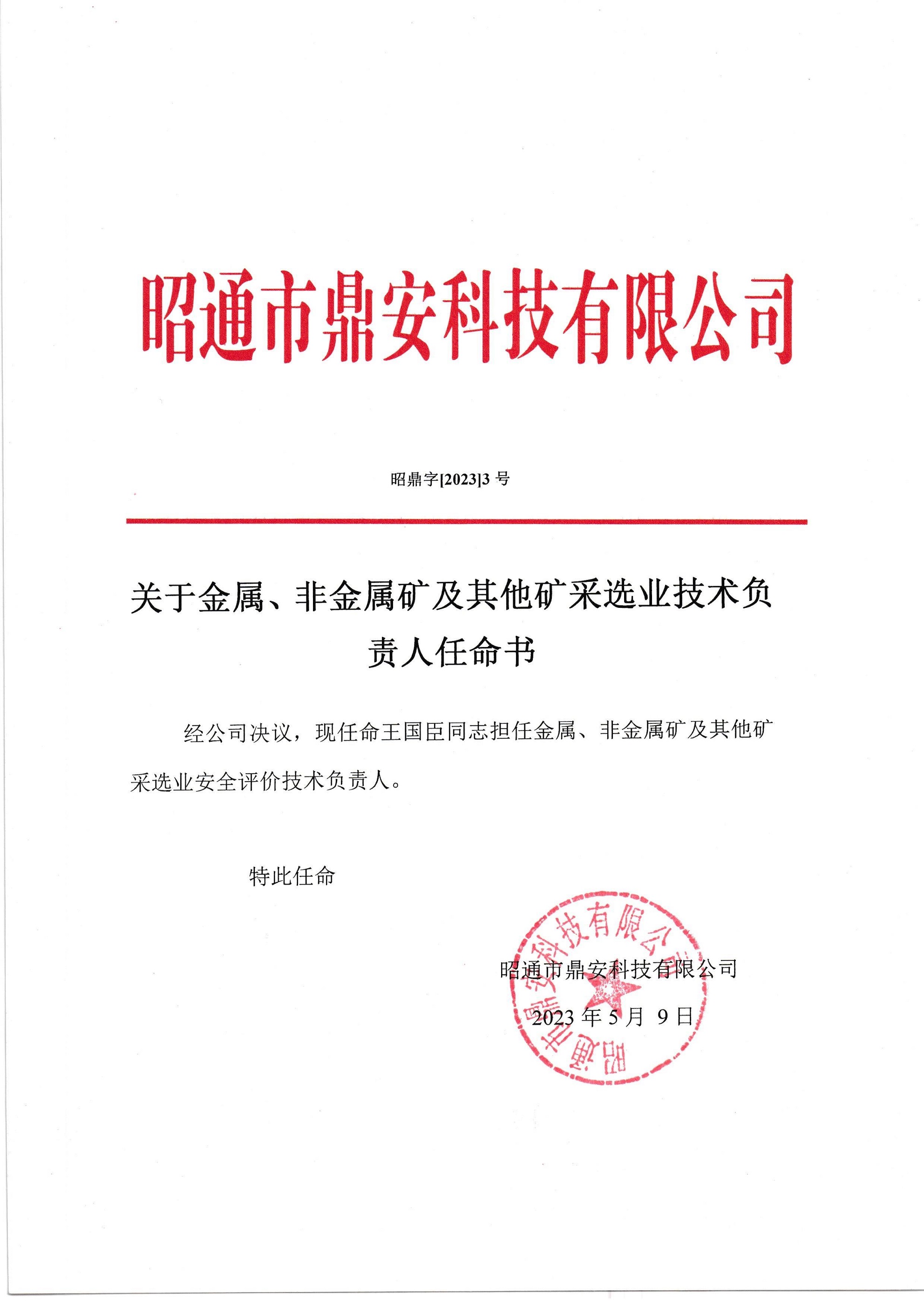 關(guān)于金屬、非金屬礦及其他礦采選業(yè)技術(shù)負(fù)責(zé)人任命書-王國臣_2.jpg